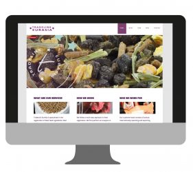 Website Tradelink Eurasia | portfolio Studio MK
