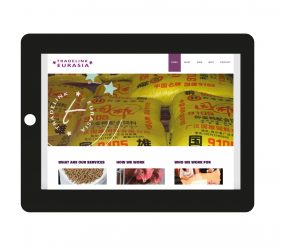 Website Tradelink Eurasia | portfolio Studio MK