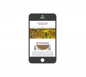 Website Tradelink Eurasia | portfolio Studio MK