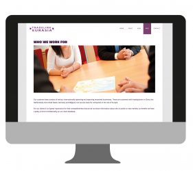 Website Tradelink Eurasia | portfolio Studio MK
